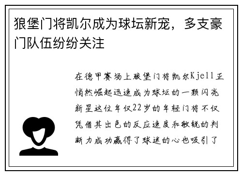 狼堡门将凯尔成为球坛新宠，多支豪门队伍纷纷关注