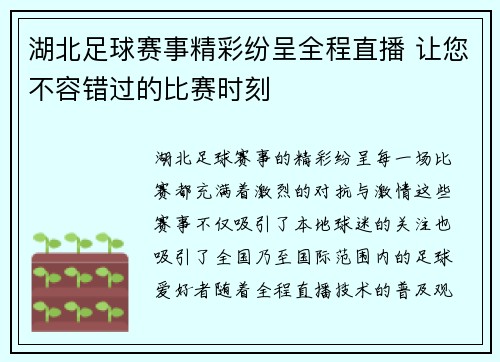湖北足球赛事精彩纷呈全程直播 让您不容错过的比赛时刻